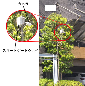 一体型監視カメラシステム設置例写真